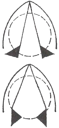 postions of the glottis